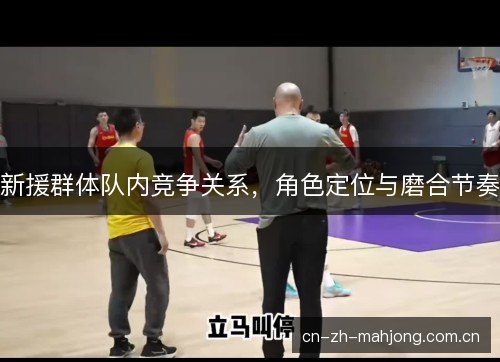 新援群体队内竞争关系，角色定位与磨合节奏